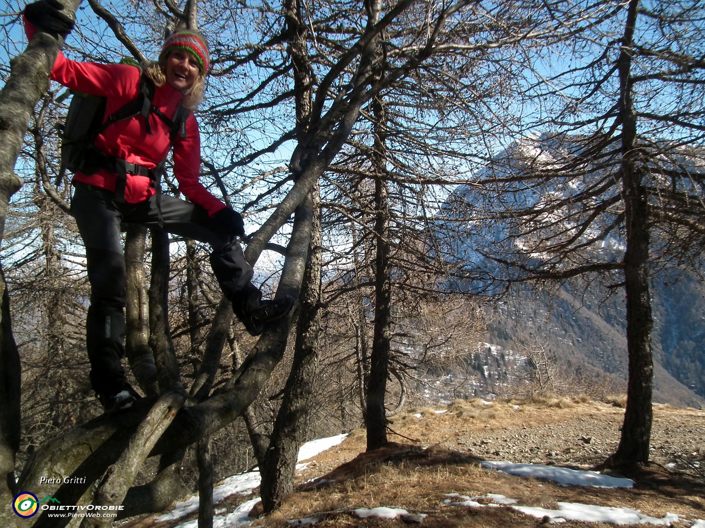 15 Siamo in zona 'beccacce'...!!!.JPG